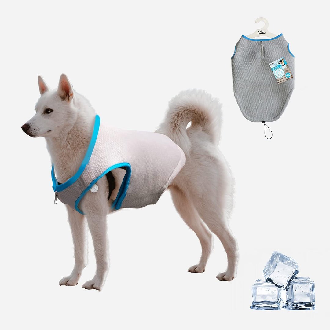 All For Paws Chill Out Cooling Vest