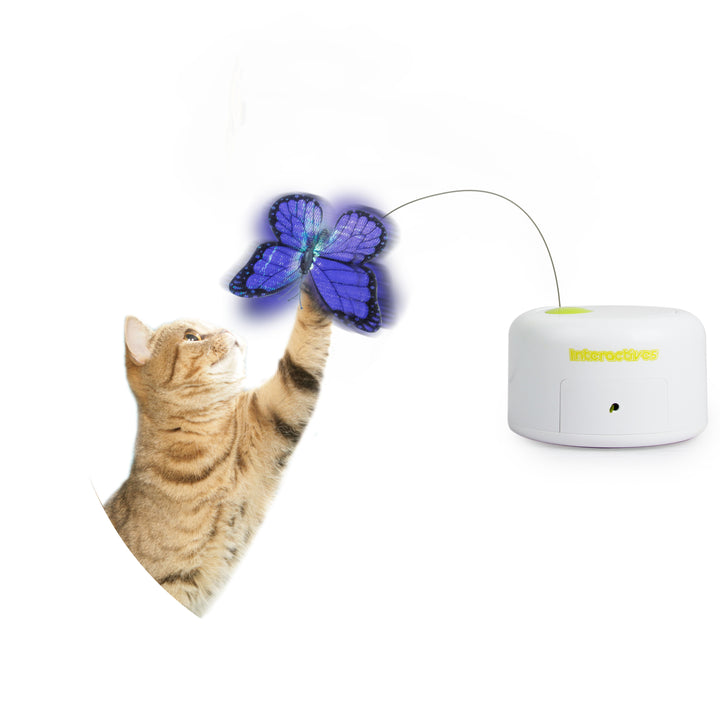 All For Paws Motion Activated Rotating Butterfly Interactive Cat Toy