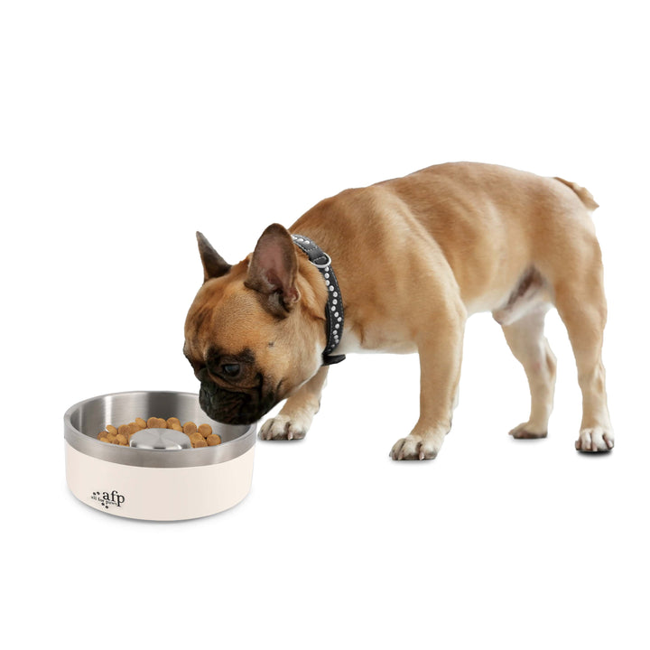 All For Paws Slow Feeding Pet Bowl