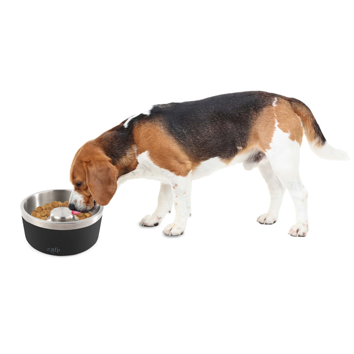 All For Paws Slow Feeding Pet Bowl