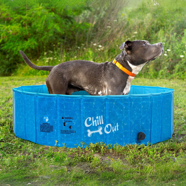 All For Paws Foldable Dog Swimming Pool