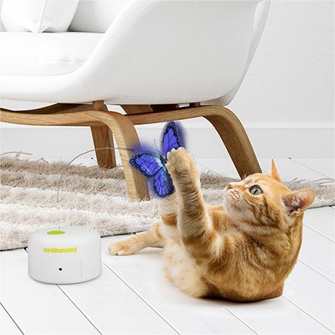 All For Paws Motion Activated Rotating Butterfly Interactive Cat Toy