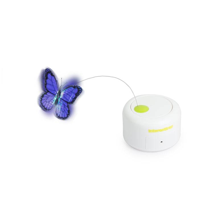 All For Paws Motion Activated Rotating Butterfly Interactive Cat Toy