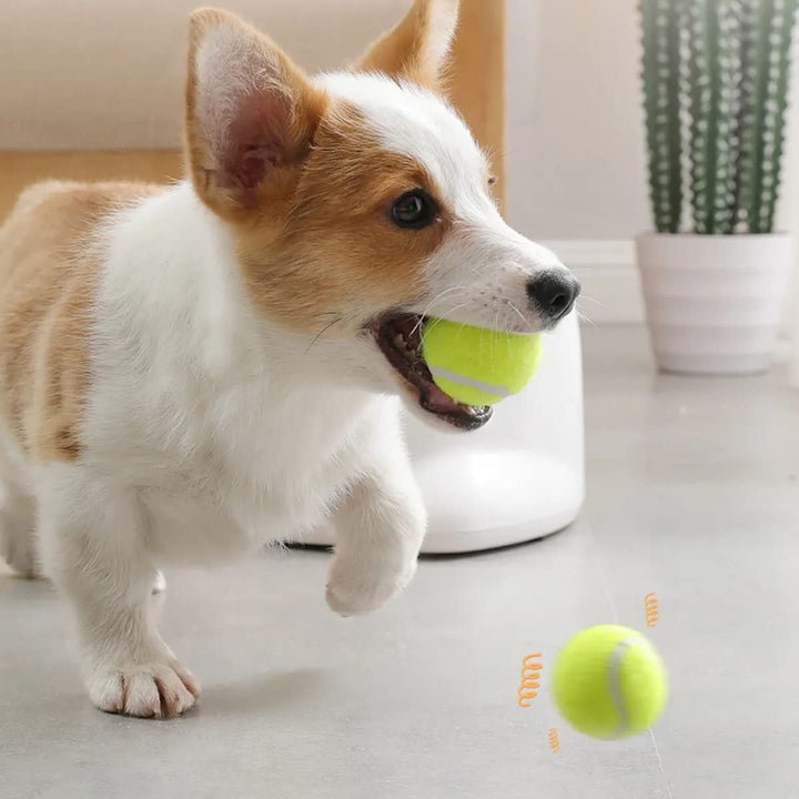 All For Paws Hyper Fetch Super Bounce Tennis Ball Interactive Dog Toy | Pack of 6