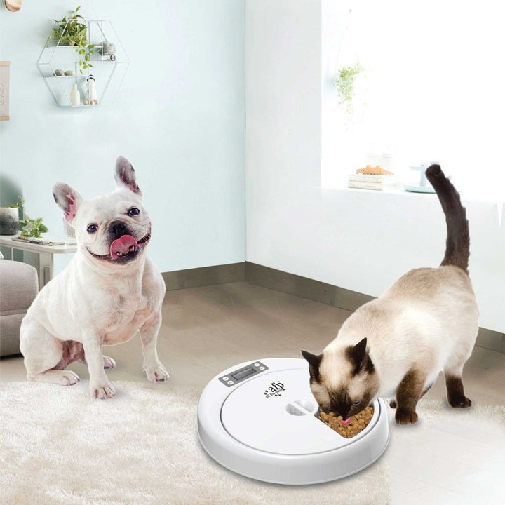 Pet-Feeder-5-Meal-570O