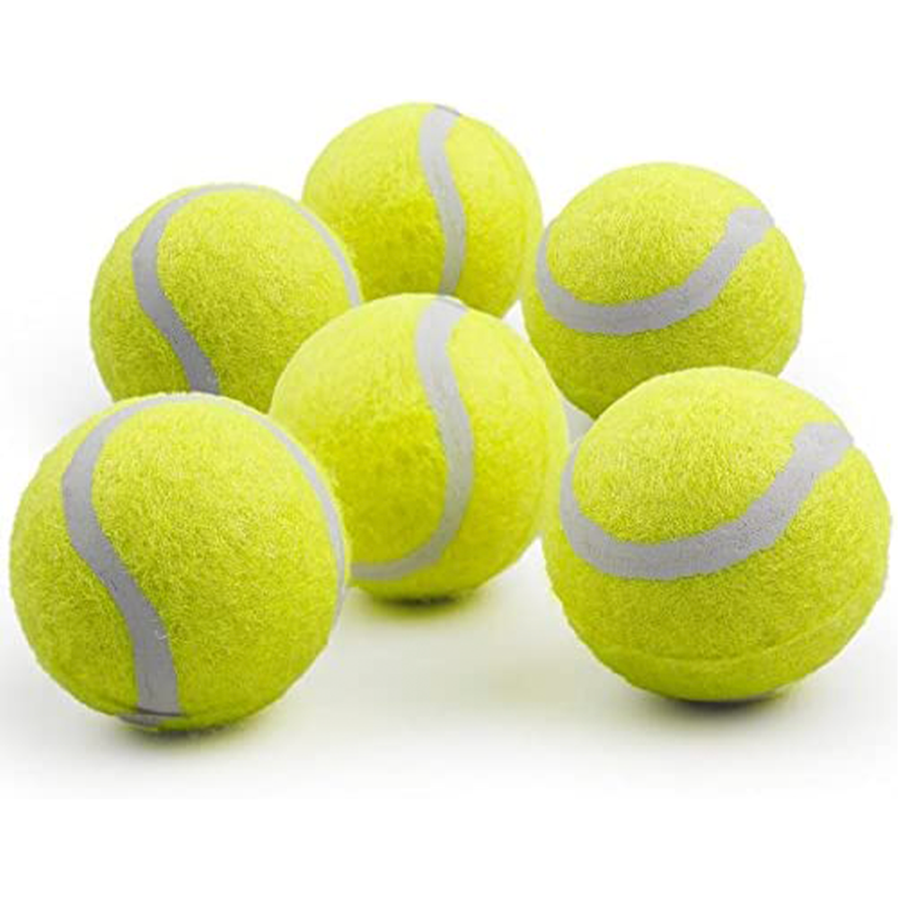 https://www.wag2me.com/cdn/shop/products/tennisball_1000x.png?v=1678511473